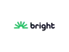 logo featuring bright money